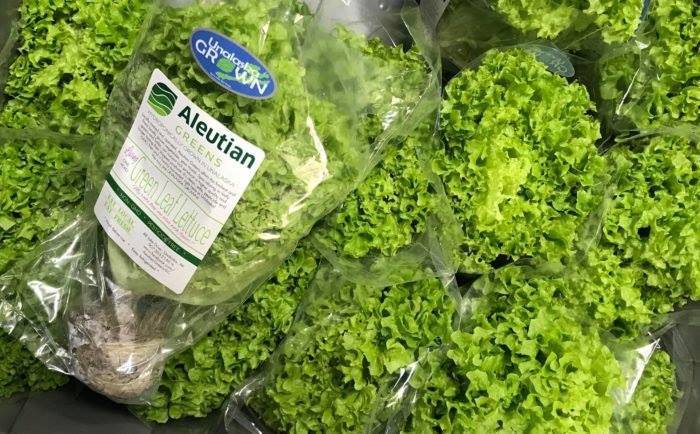 Aleutian Greens Green Leaf Hydroponic Lettuce in stores